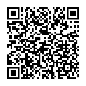 足有鸡蛋大小的六方柱体祖母绿却没有被归类到最高品质的行列里二维码生成