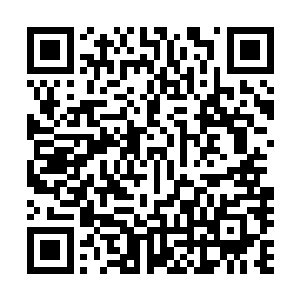 足足花费了近百年的时间这才来到了神界的极西之地的边缘二维码生成