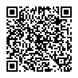 足足过了五六个呼吸的时间才在欧阳右手上缓缓凝成一根紫色的骨矛二维码生成