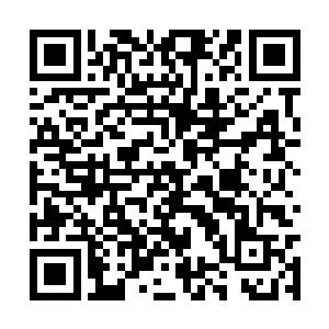 趴到了车站的长椅上百无聊赖的等着自己要坐的车二维码生成