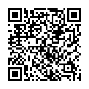 趴在地上的苏凡不知何时已经高高的举起了一柄黑色的匕首二维码生成