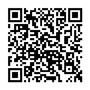 趴在马桶上吐得一张脸比周围的白色瓷砖还要白二维码生成