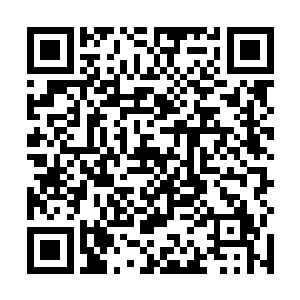 趴在黑炭身上的苗毅随同坐骑一起从纷飞的碎石中冲出二维码生成