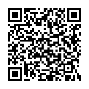 跌宕出一股让在场所有人都心惊胆战的恐怖威压二维码生成