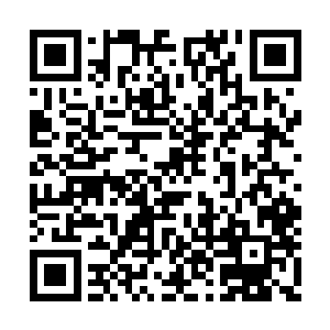 跑了一会的卡娅就发现了身后那一片的金色光芒二维码生成