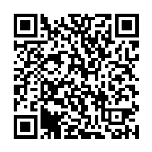 距离入岛历练最基本的四星杀手还差那么一点点而已二维码生成