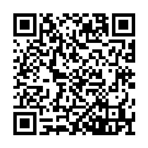 距离奎克大副等人降临到翡翠大陆上还没过多久二维码生成