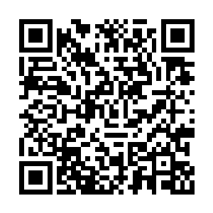 距离孟猊极近的五长老钱文杰此刻吓得面无人色二维码生成