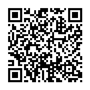 距离就被越拉越远然后慢慢地失去速度掉入海中二维码生成