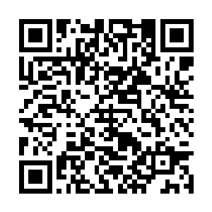 距离自己家里面的小觑竟然不是想象当中的那么远二维码生成