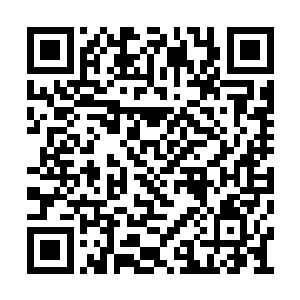 跟之前躺在地上干哼哼不动弹显然不是一回事儿二维码生成