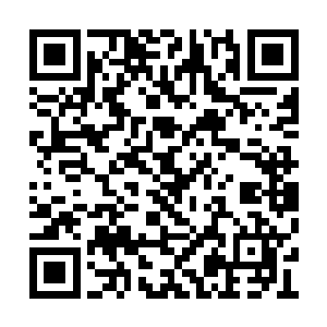 跟亚洲唱片谈……他们倒是都把条件给的比较高二维码生成