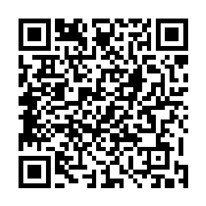 跟他在封印之地开启那张大门时所见到的凹孔差不多大小二维码生成