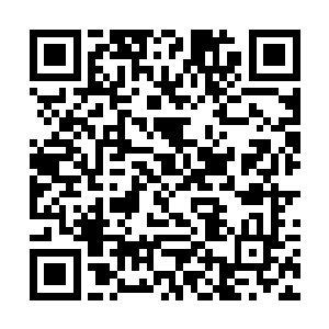 跟修真者比起来他们不过是一群被愚弄的可怜虫罢了二维码生成