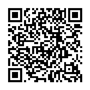 跟在他身后的助理刚打开手机便接到了来自美国的电话二维码生成