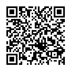 跟夜辜星宽松白色衬衫下那对干瘪瘪的小兔子丝毫没有可比性二维码生成