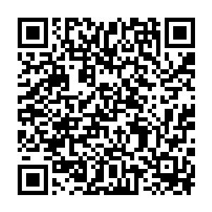 跟大家……跟大家一起都牺牲了……他们一个个被吸入天道空间……二维码生成