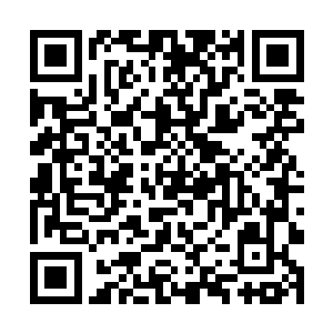 跟我说起在金国高层留下的这颗暗子……说她很可怜二维码生成