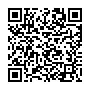 跟楚旬当初在须弥山上看到的元始天魔雕像一模一样二维码生成