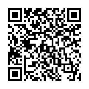 跟着你家那位一开口就跟要踩猫尾巴似得小心翼翼的哈二维码生成