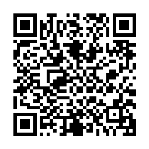 跟着我就看着到条黑白相交的蛇尾准确无误的卷上了穿军装的二维码生成