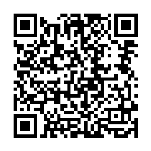 跟着熊力而来的两大虚灵中期的护卫想要对沈凡动手二维码生成