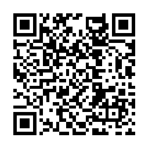 跟着这种门道清的人在一起也能快速的了解万化城二维码生成