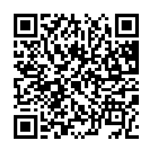 跟着长濑幸未朝着广场对面的一个小楼里跑了过去二维码生成