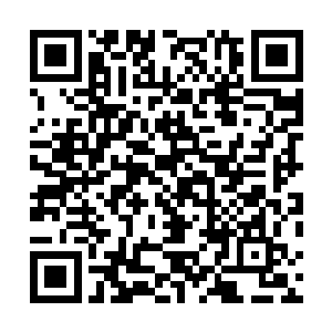跟着龙战一起出去的勇士们是在第二天的中午达到部落的二维码生成