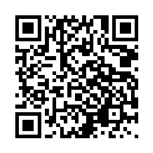 跟苗毅在一起后她就已经在注意这一点二维码生成