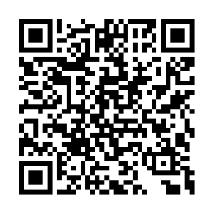 跟那个化龙的锦鲤一族的老祖宗也有不小的关系二维码生成