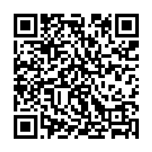 跟随着一名容貌普通却给人印象舒适的青年走了进来二维码生成