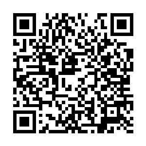 跟龙战确定了一下狼群不会过来部落这边就离开了二维码生成