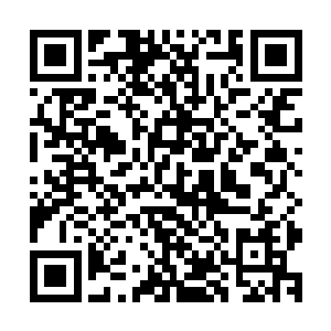 路上他们就亲自见识了以龙战为首的炎黄部落的勇士们的实力二维码生成