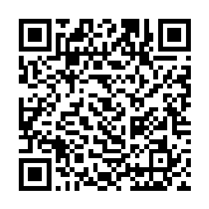 路上和他们交谈的年轻人是圣域已经很让他们吃惊了二维码生成