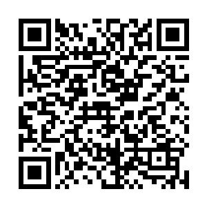 路上我看着小太妹上午磕在地上变红的下巴忍不住就笑二维码生成