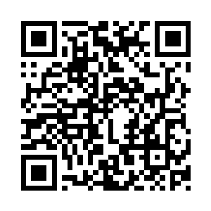 路上遇到搭般都搭出这么精锐的一组小队二维码生成