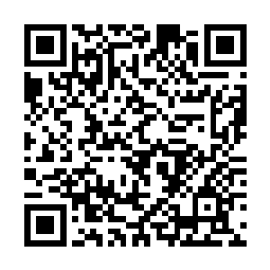 路子野得也就没谁了的甘瑰竟有如此惨不忍睹的往事二维码生成