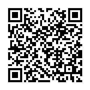 路德那种水磨功夫般的战术显然是要生擒守城将领二维码生成