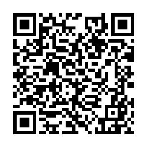 路易斯对于路易斯二世来说却是非常重要的一个人二维码生成