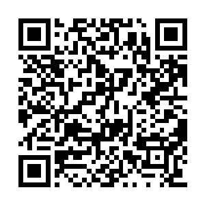 路过得侍从乍然看到走出来的代离便是面色一变二维码生成