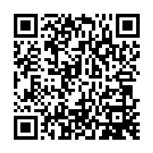 路途远的虽然牵着一头牛犊过来需要花费好几天的时间二维码生成