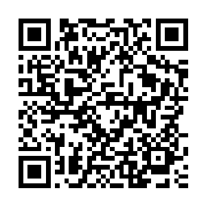 路遥狠狠的手中新手木棒如同灵蛇般的轰在一头丧尸头颅之上二维码生成