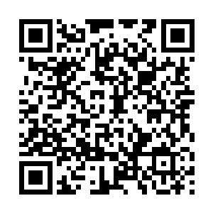 踏雪无痕墨角腾云兽宽大的手臂又自右往左前方一扫二维码生成