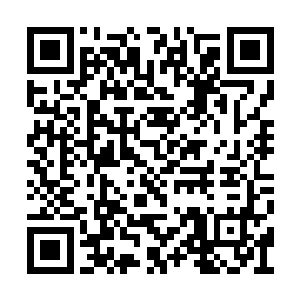 踏雪无痕墨角腾云兽怎么会要将大家赶往它的巢二维码生成