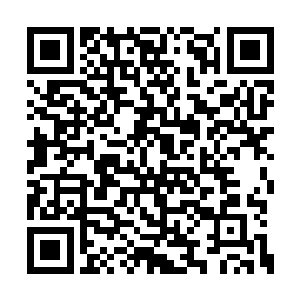 踏雪无痕墨角腾云兽检查不到小幼崽身上的余毒二维码生成