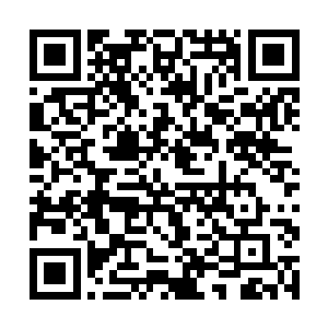 踏雪无痕墨角腾云兽看到小幼崽的耳膜几乎被震出血二维码生成