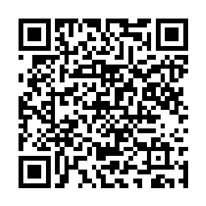 踏雪无痕墨角腾云兽那双犀利的目光就狠狠扫过去二维码生成