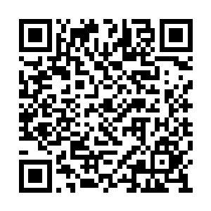 蹲在地上研究两名伤员为何一动不动的三名警察二维码生成