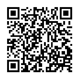 躁动的地之元素眨眼之间就形成了强大的元素潮汐二维码生成